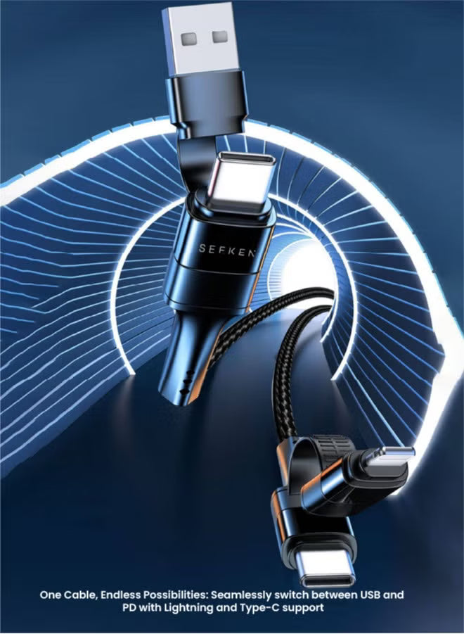 (For Add On) SEEKEN 4-IN-1 60W 1M BRAIDED CABLE